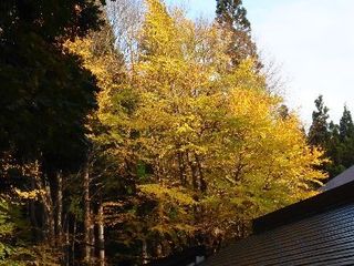 20171019_02.JPG
