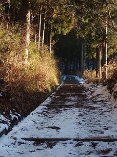 20180101_01.JPG