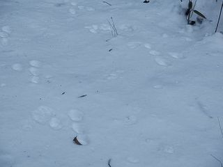 20180101_04.JPG